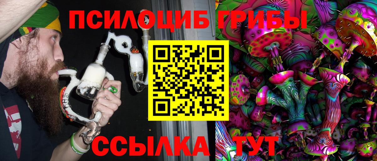 Зима  Псилоцибиновые грибы Psilocybine cubensis  Вход с VPN 